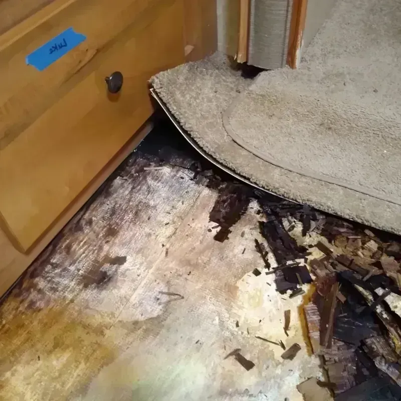 Wood Floor Water Damage in Wasatch County, UT